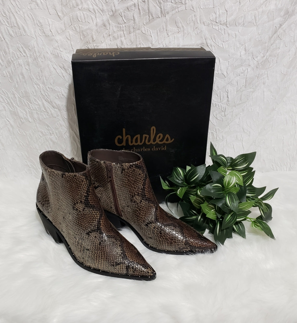 CHARLES BY CHARLES DAVID Women's Plato Bootie - Dark Brown Snake Print - Size 7 1/2M